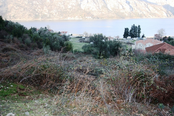 Grundstück an der Riviera von Kotor