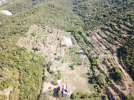 Grundstück in Radanovići, 83.000 m² — photo 2