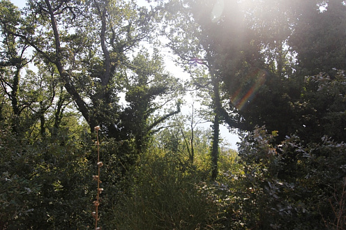 Grundstück mit Meerblick in Kulyach
