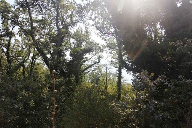 Grundstück mit Meerblick in Kulyach