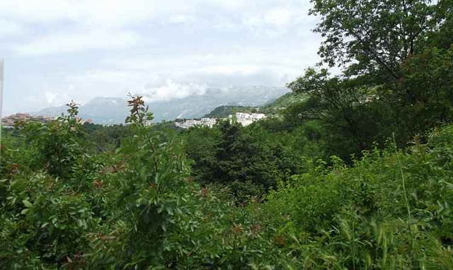 Land in Blizikuce — photo 4