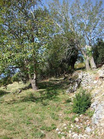 Budva-Anwesen — photo 5