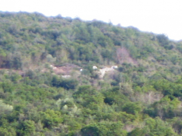 Grundstück mit Meerblick in Kotor