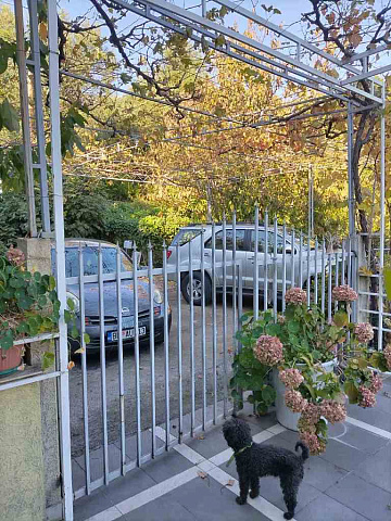 Haus in Budva — photo 10