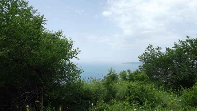 Land in Blizikuce — photo 5
