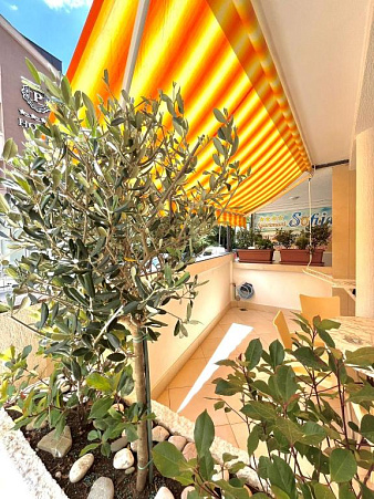 Apartments for Sale in Bečići – Perfect Location for Living & Investment.