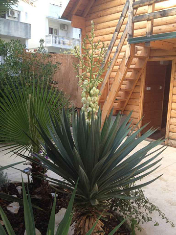 Budva-Hotels — photo 9