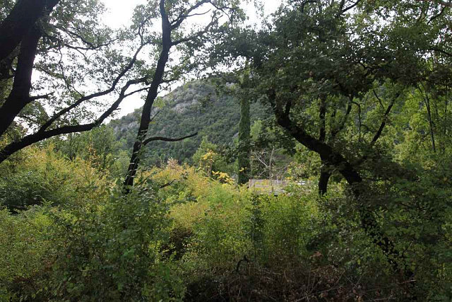 Grundstück in Markovichi