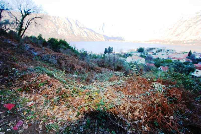 Grundstück an der Riviera von Kotor — photo 4