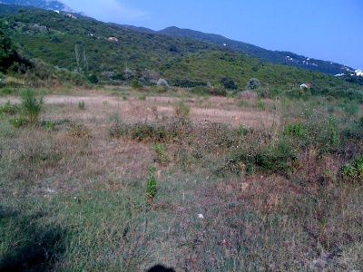 Das Grundstück in Herceg Novi