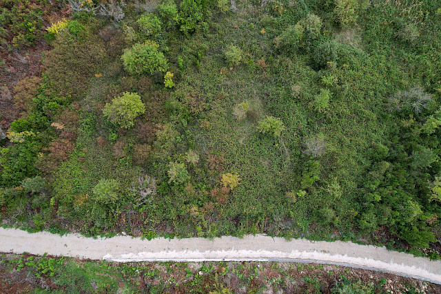 Land in Gosichi — photo 10