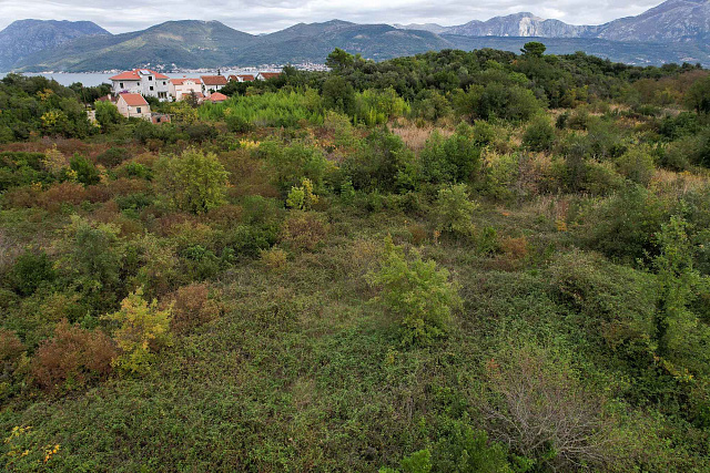 Land in Gosichi — photo 12