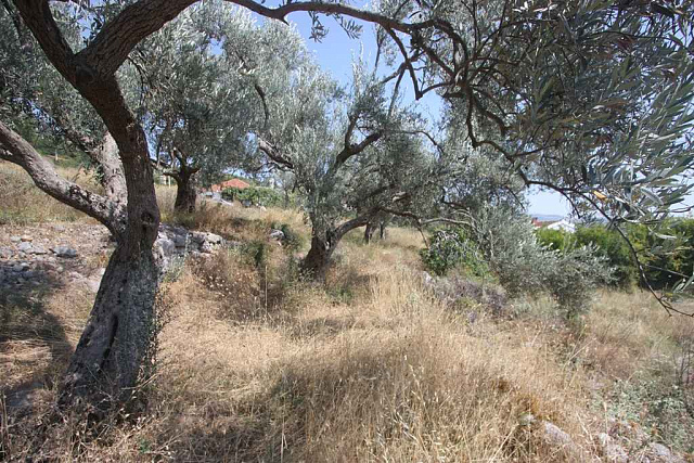 Grundstück in der Gegend von Dobre Voda — photo 11
