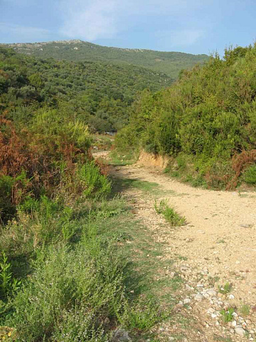 Land in Kuti