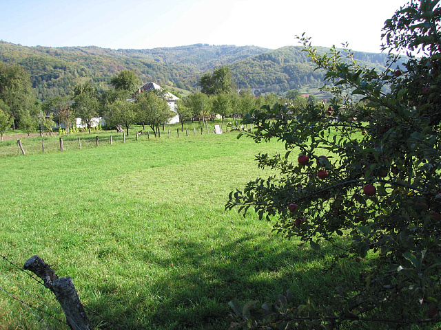Grundstück in Kolasin — photo 6
