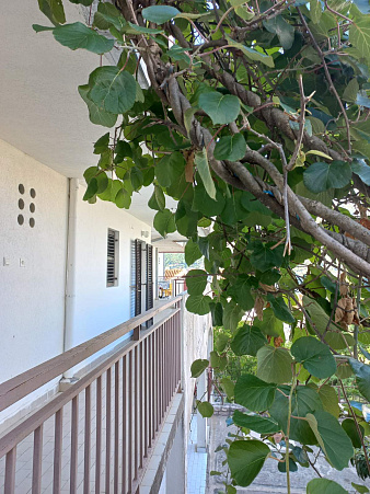 Apartment in Stoliv with sea view
