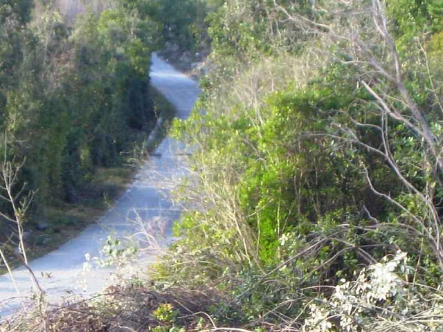1833 Kotor Grbal Plot 13571m2 — photo 1