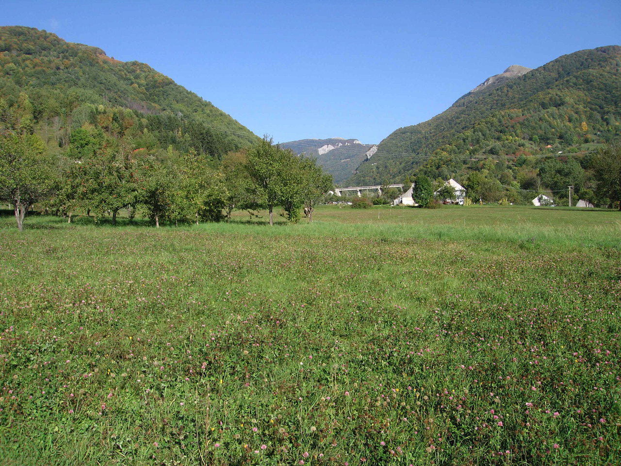 Grundstück in Kolasin
