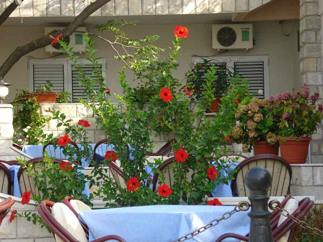 Baosici-Hotels — photo 4
