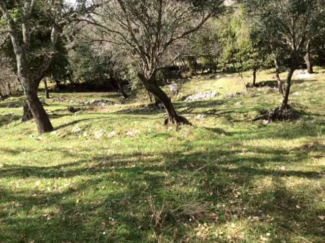 Land in Podi — photo 5