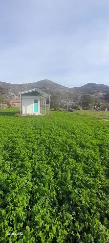 Участок на продажу в Грахово