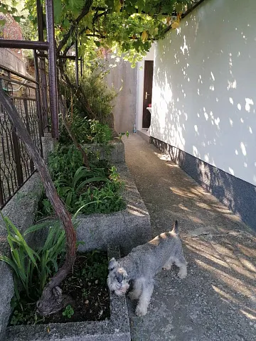 2-bedroom apartment in Bijela  — photo 10