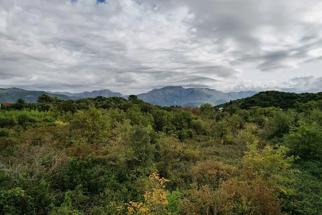 Land in Gosichi — photo 6