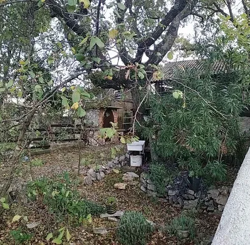 Einstöckiges Haus zum Verkauf in Krimovica — photo 5
