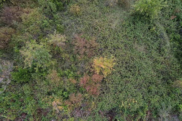 Land in Gosichi — photo 11