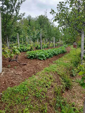 # 6879 Urbanisiertes, gepflegtes Grundstück mit 700 m² in Mokrinje — photo 4