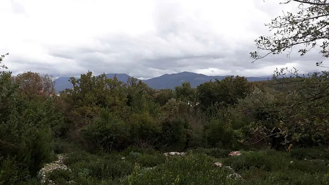 Grundstück in der Bucht von Radovichi — photo 5