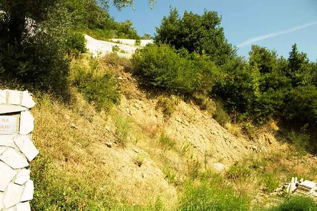 465m2 Land in Kamenari — photo 6
