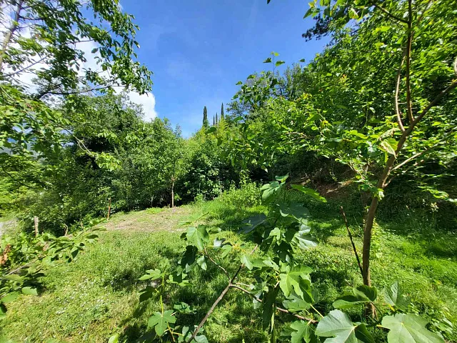 Haus in ruhiger Lage mit großem Grundstück — photo 7