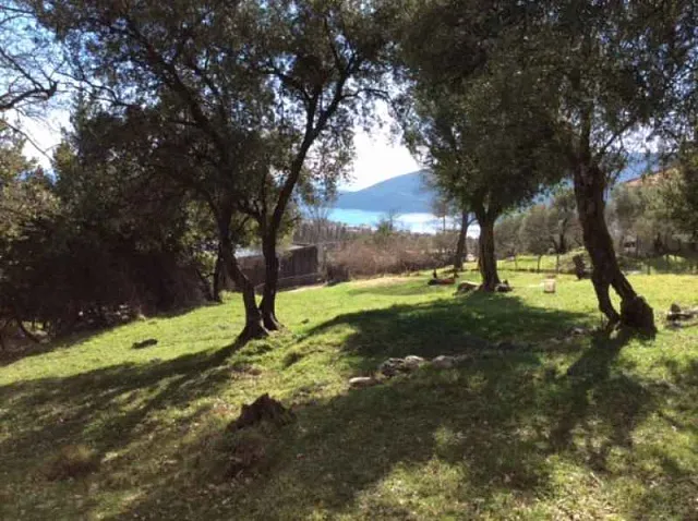 Land in Podi