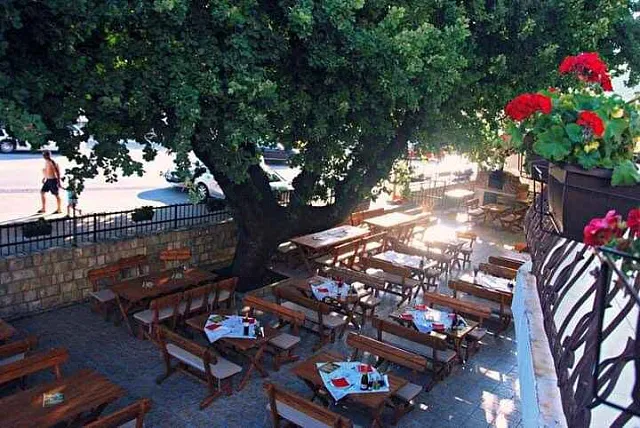 Becici-Hotels — photo 4