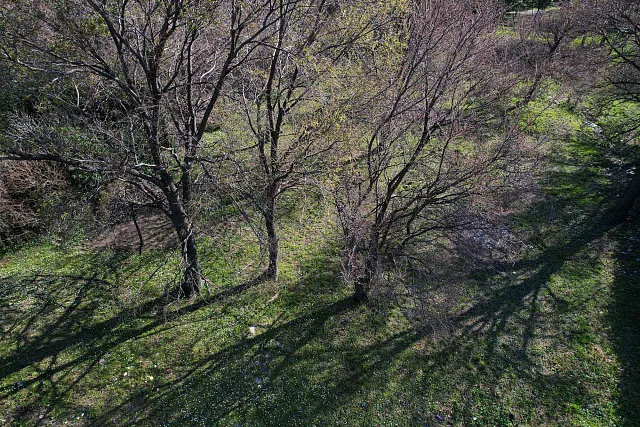 Urbanisiertes Grundstück 750 m² in Buljarica – nur 400 m vom Strand – Top Investition — photo 5