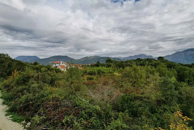 Land in Gosichi — photo 7