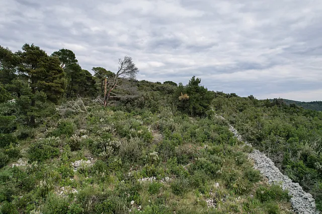 Urbanisiertes Grundstück in Žanjice zu verkaufen – exklusive Lage mit Meerblick — photo 9