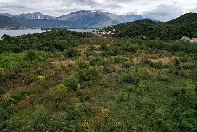 Land in Gosichi