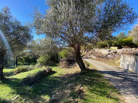 4.216 m² Grundstück in Mrčevac, Tivat, mit Meerblick und UTU.