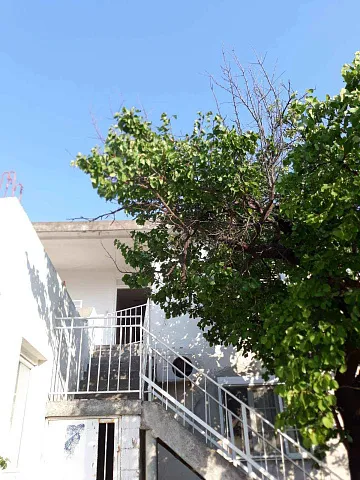 Apartment on the first floor of house in Bar — photo 4