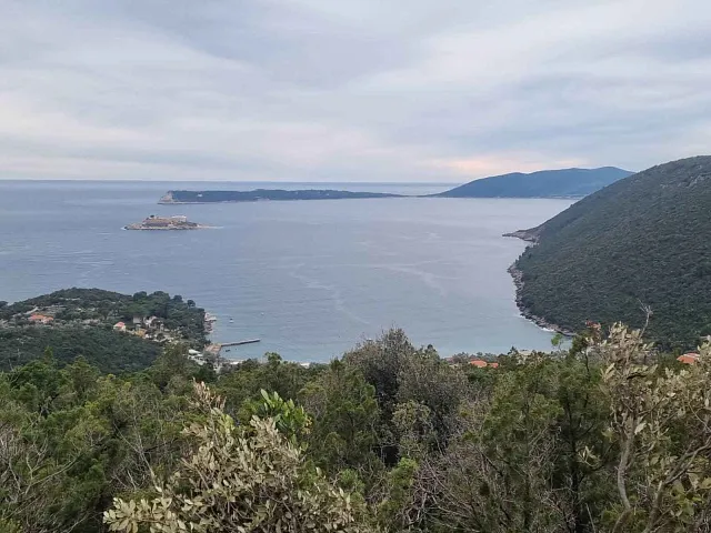 Panorama-Oase — photo 4