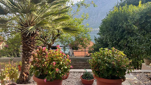 Haus in Prčanj mit Blick auf die Bucht — photo 9