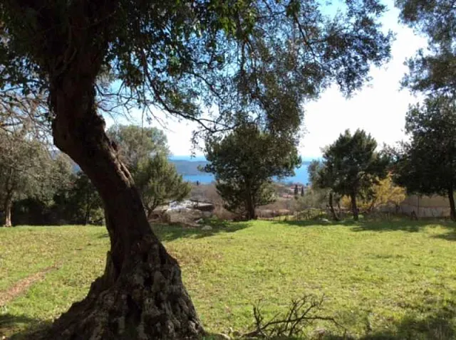 Land in Podi