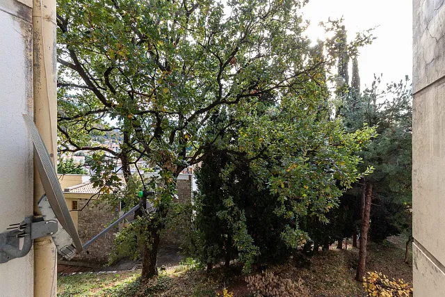 Wohnung im Zentrum von Petrovac — photo 4