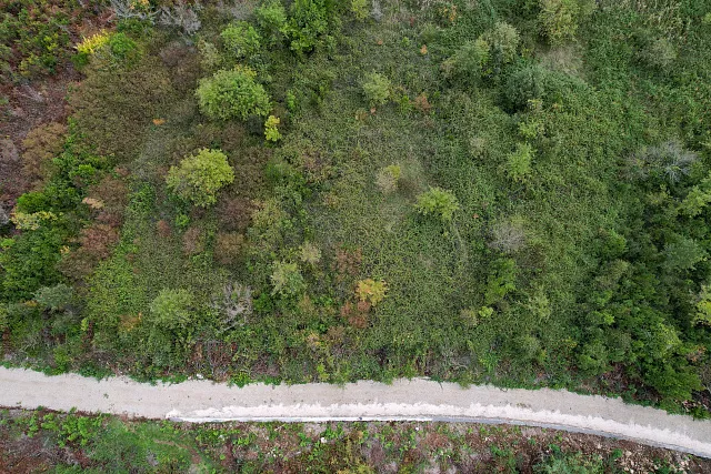 Land in Gosichi — photo 10