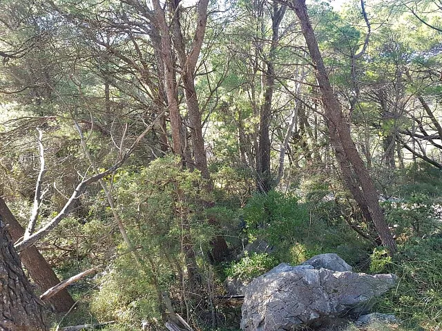 Las Land — photo 5