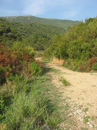 Land in Kuti