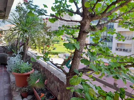 Meerblick-Perle: Wohnung in Budva zu Verkaufen