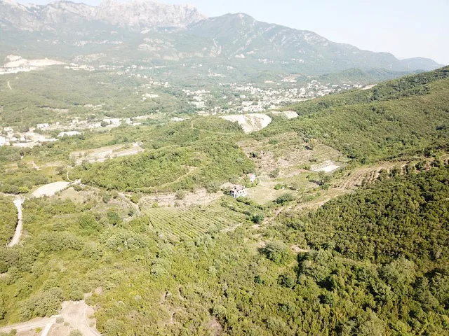 Grundstück in Radanovići, 83.000 m² — photo 5